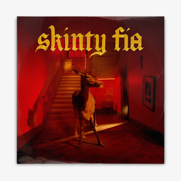 Fontaines D.C. 'Skinty Fia' LP Cover