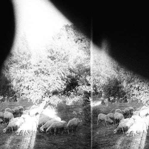 Godspeed You! Black Emperor 'Asunder, Sweet and Other Distress' LP Cover