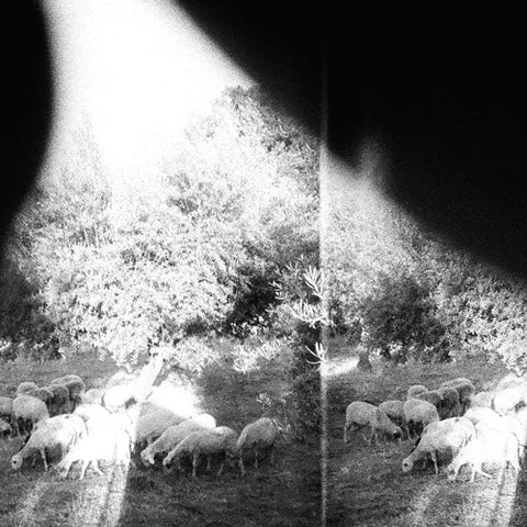 GODSPEED YOU! BLACK EMPEROR 'Asunder, Sweet And Other Distress' LP Cover