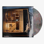 IDLES 'CRAWLER' 12" LP Eco Mix vinyl