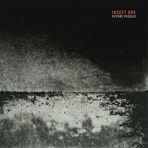 INSECT ARK 'Future Fossils' EP Cover