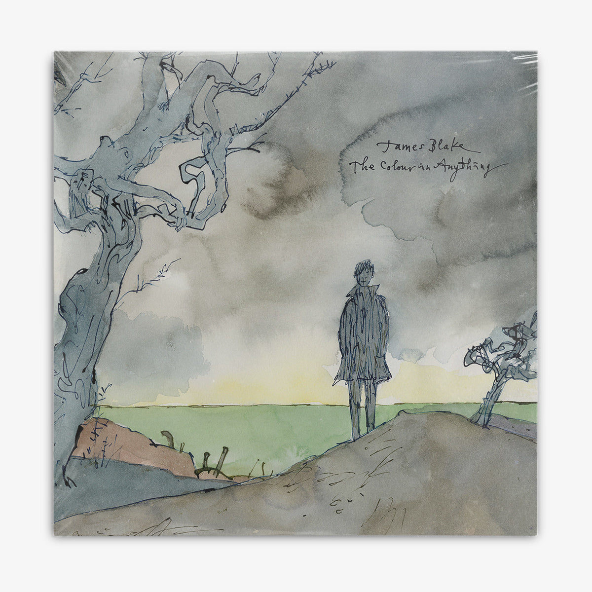 James Blake 'The Colour in Anything' LP cover