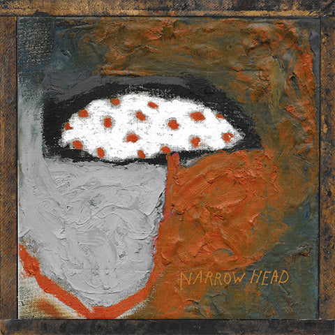 NARROW HEAD '12th House Rock' LP Cover
