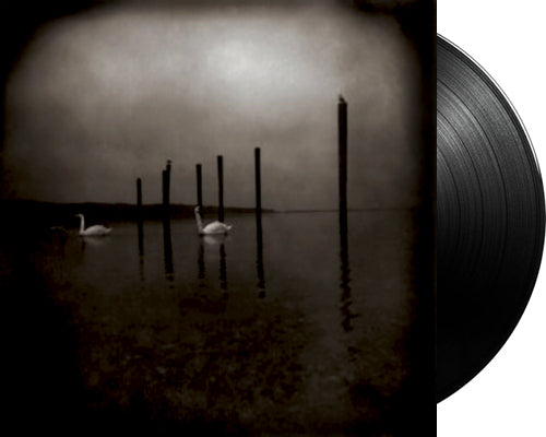 OM 'Conference Of The Birds' 12" LP Black vinyl