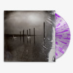 OM 'Conference of the Birds' 12" LP Clear w/ Purple Smoke vinyl