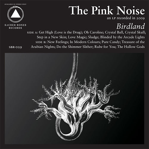 PINK NOISE, THE 'Birdland' LP Cover