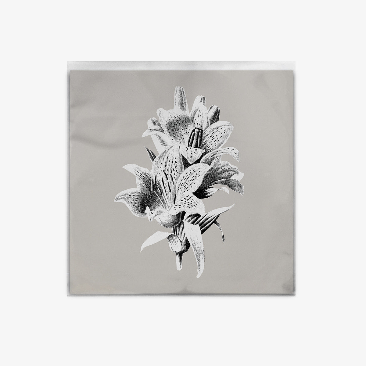 Sannhet 'Short Life' EP cover