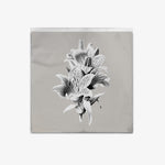Sannhet 'Short Life' EP cover