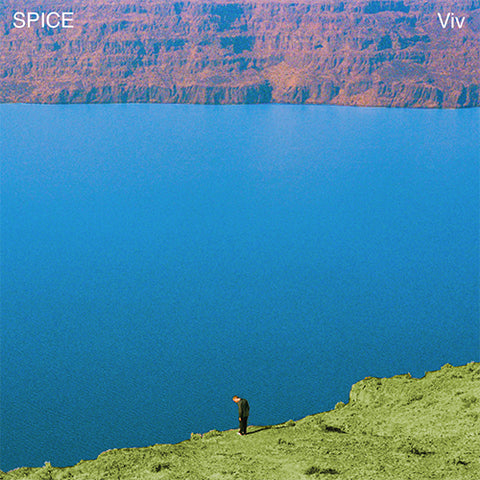 SPICE 'Viv' LP Cover