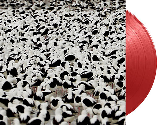 STELLA DONNELLY 'Flood' 12" LP Red Opaque vinyl