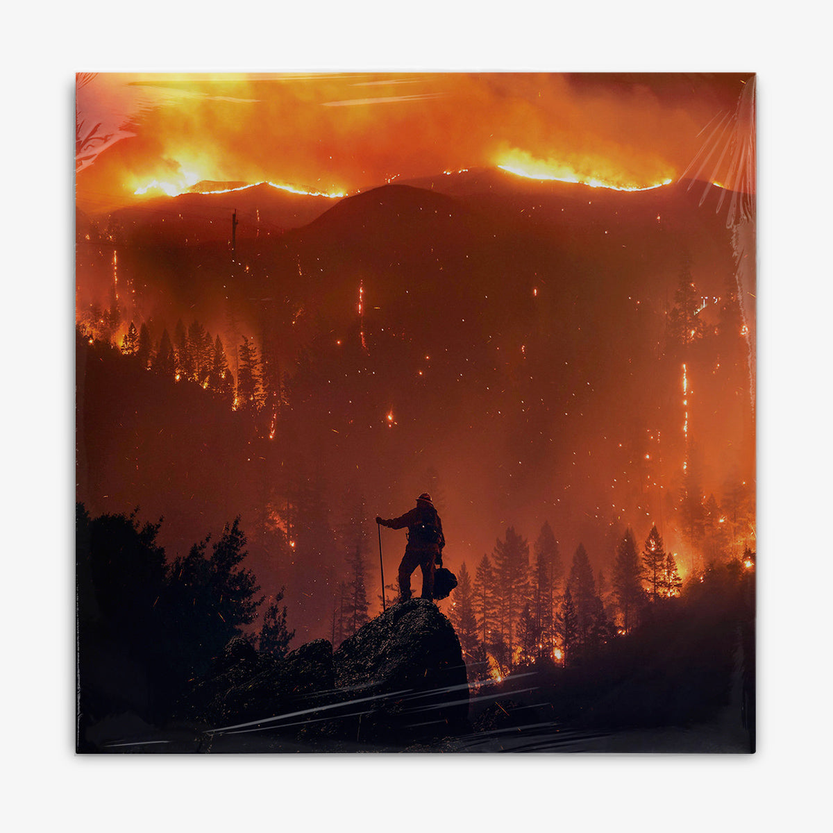 Terzij de Horde 'In One Of These, I Am Your Enemy' LP cover