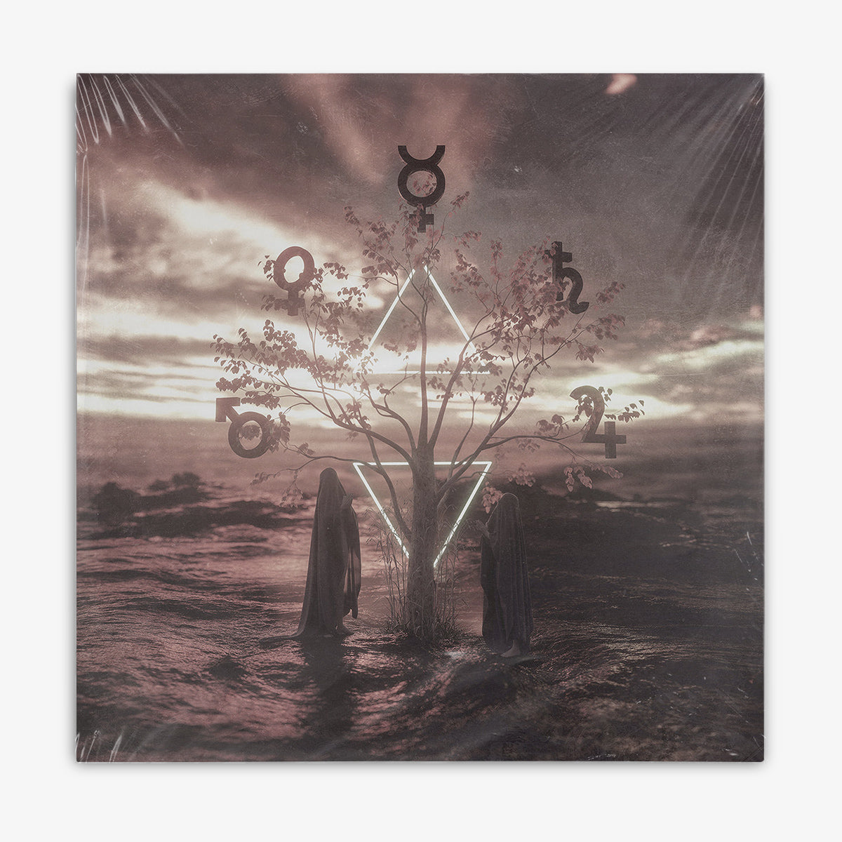 Wells Valley 'Reconcile the Antinomy' LP cover