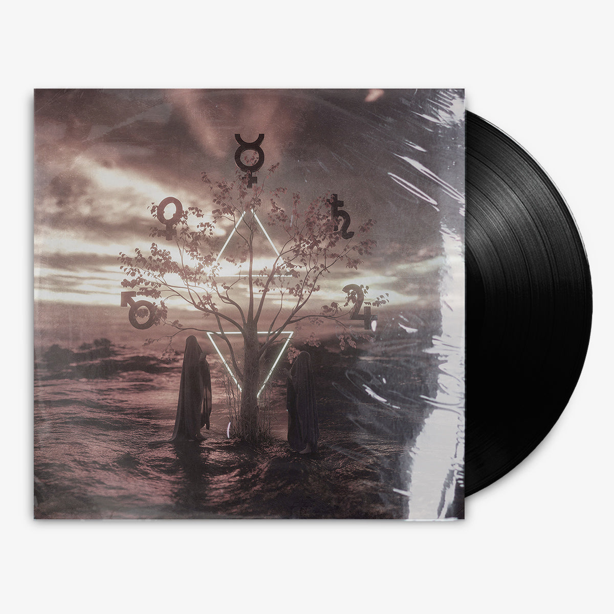 Wells Valley 'Reconcile the Antinomy' 12" LP Black vinyl