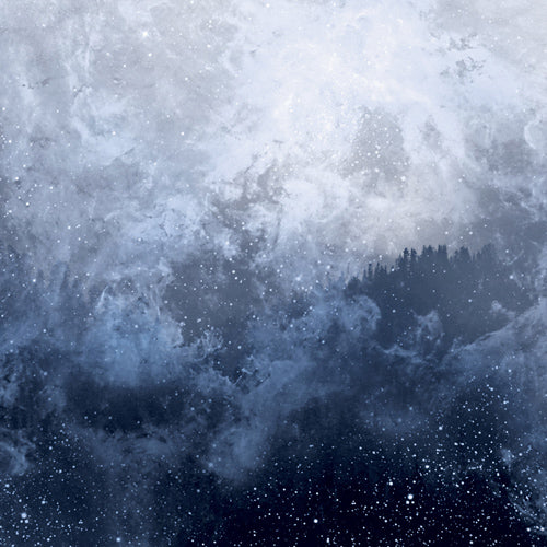 WOLVES IN THE THRONE ROOM 'Celestite' LP Cover
